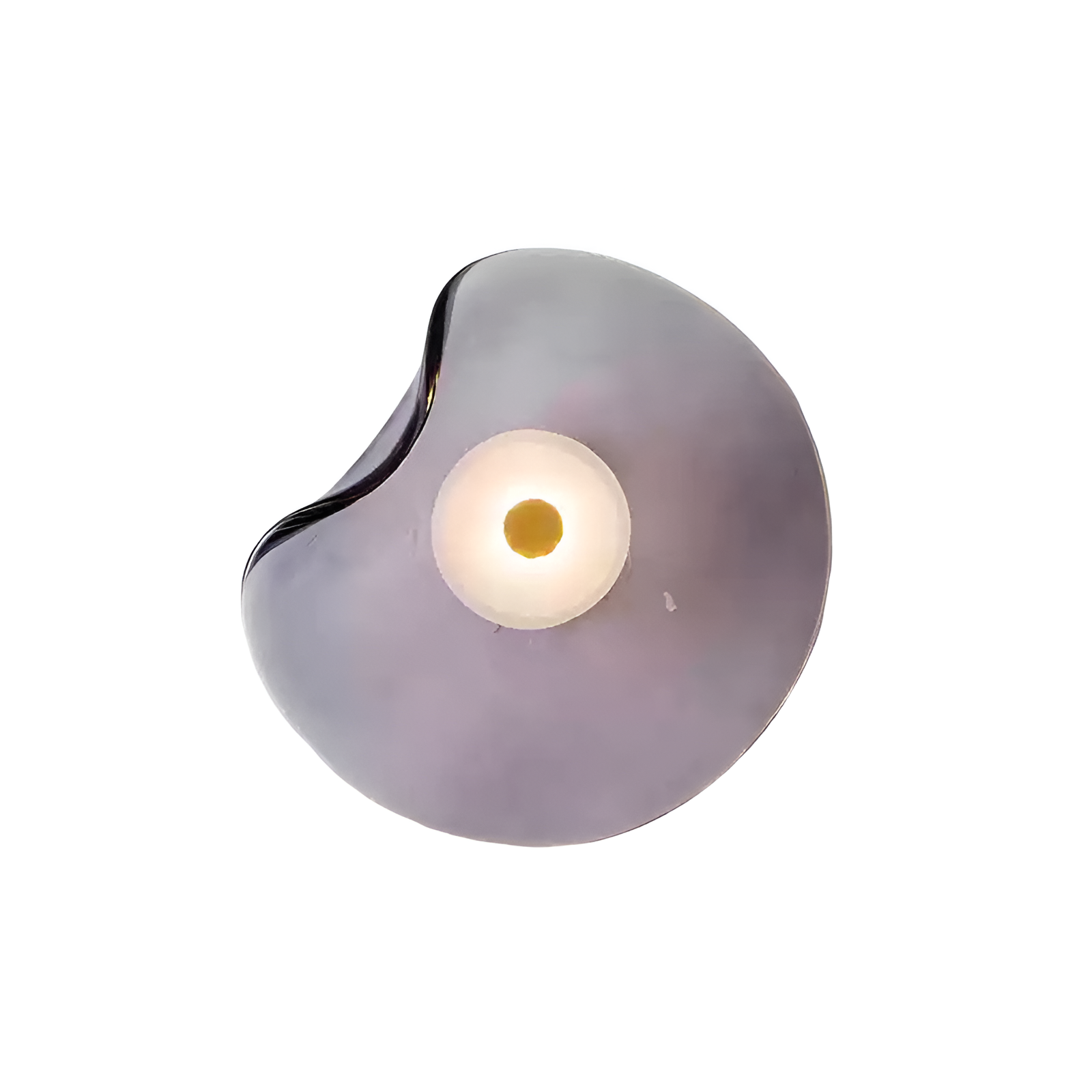Modern Organic Sculptural LED Wall Sconce