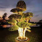 Lampa ogrodowa zewnętrzna led oświetlenie drzewa gruntowe czarna