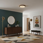 Minimalist LED Surface Mount Ceiling Light
