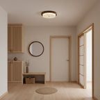 Minimalist LED Surface Mount Ceiling Light