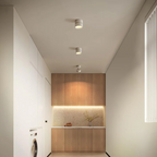 Modern adjustable compact LED ceiling lamp