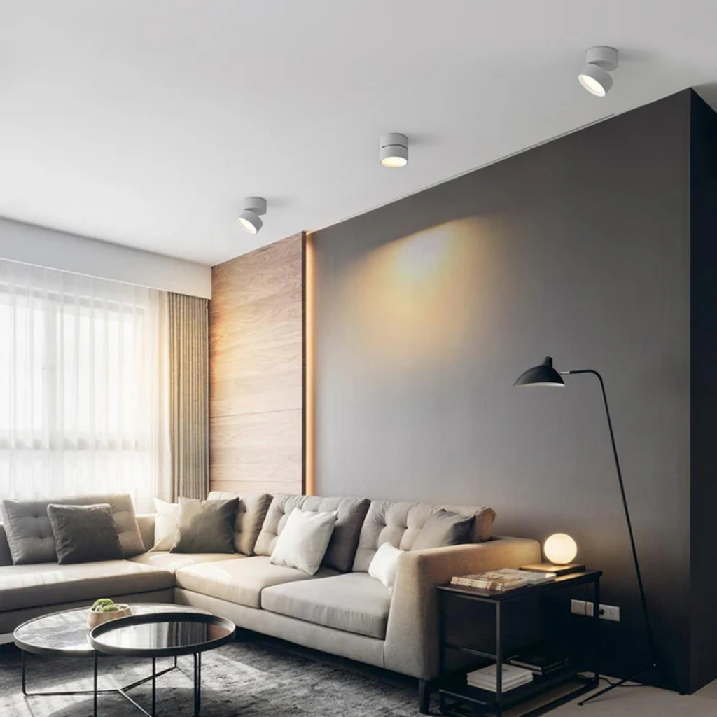 Modern adjustable compact LED ceiling lamp