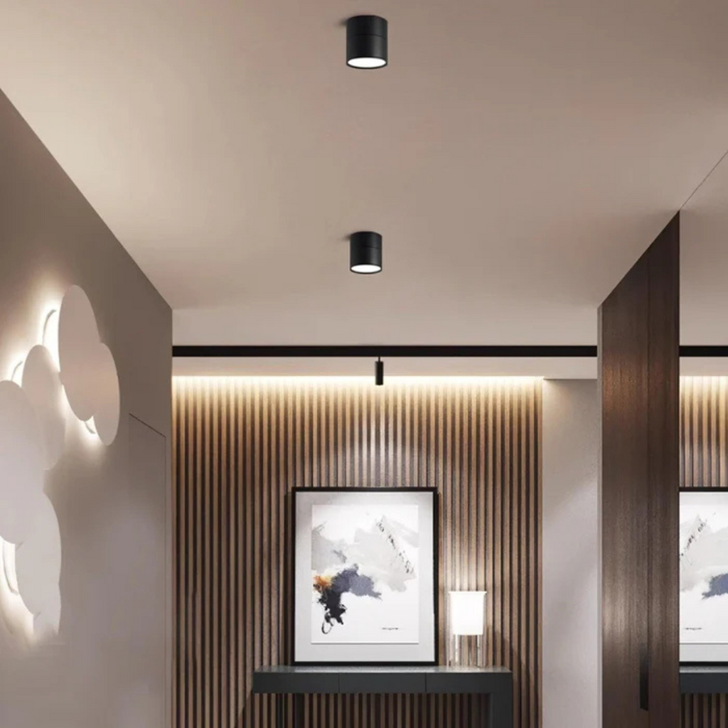 Modern adjustable compact LED ceiling lamp