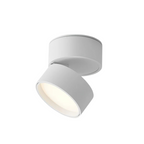 Modern adjustable compact LED ceiling lamp