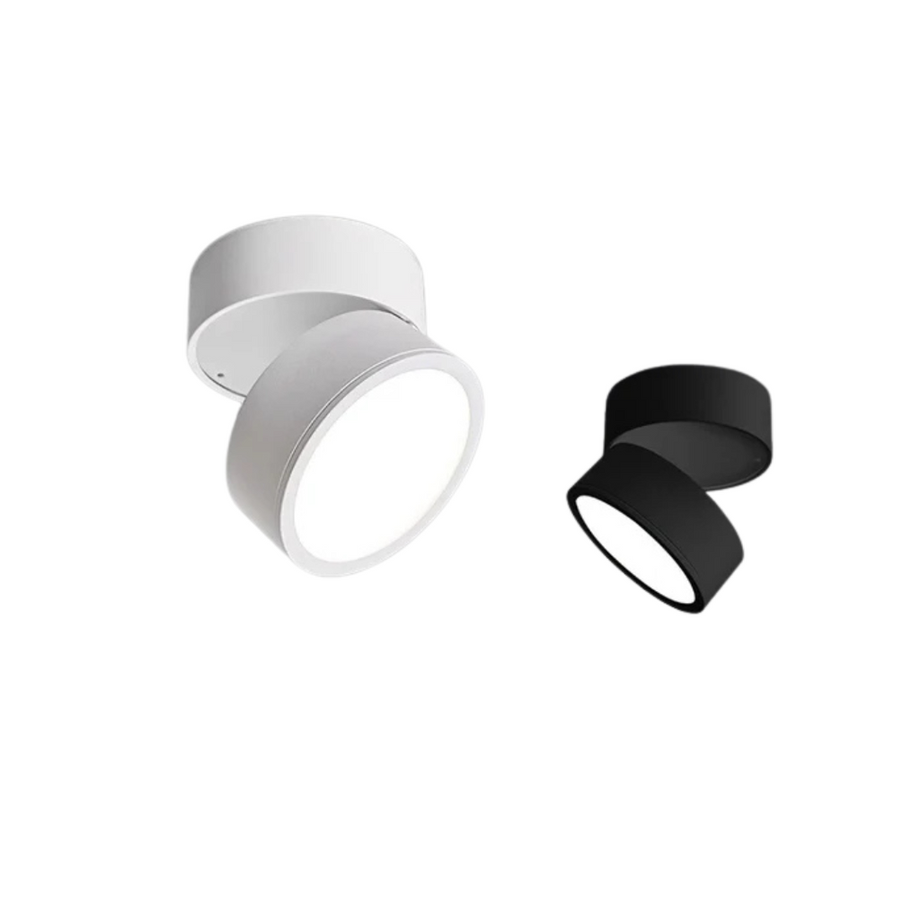 Modern adjustable compact LED ceiling lamp