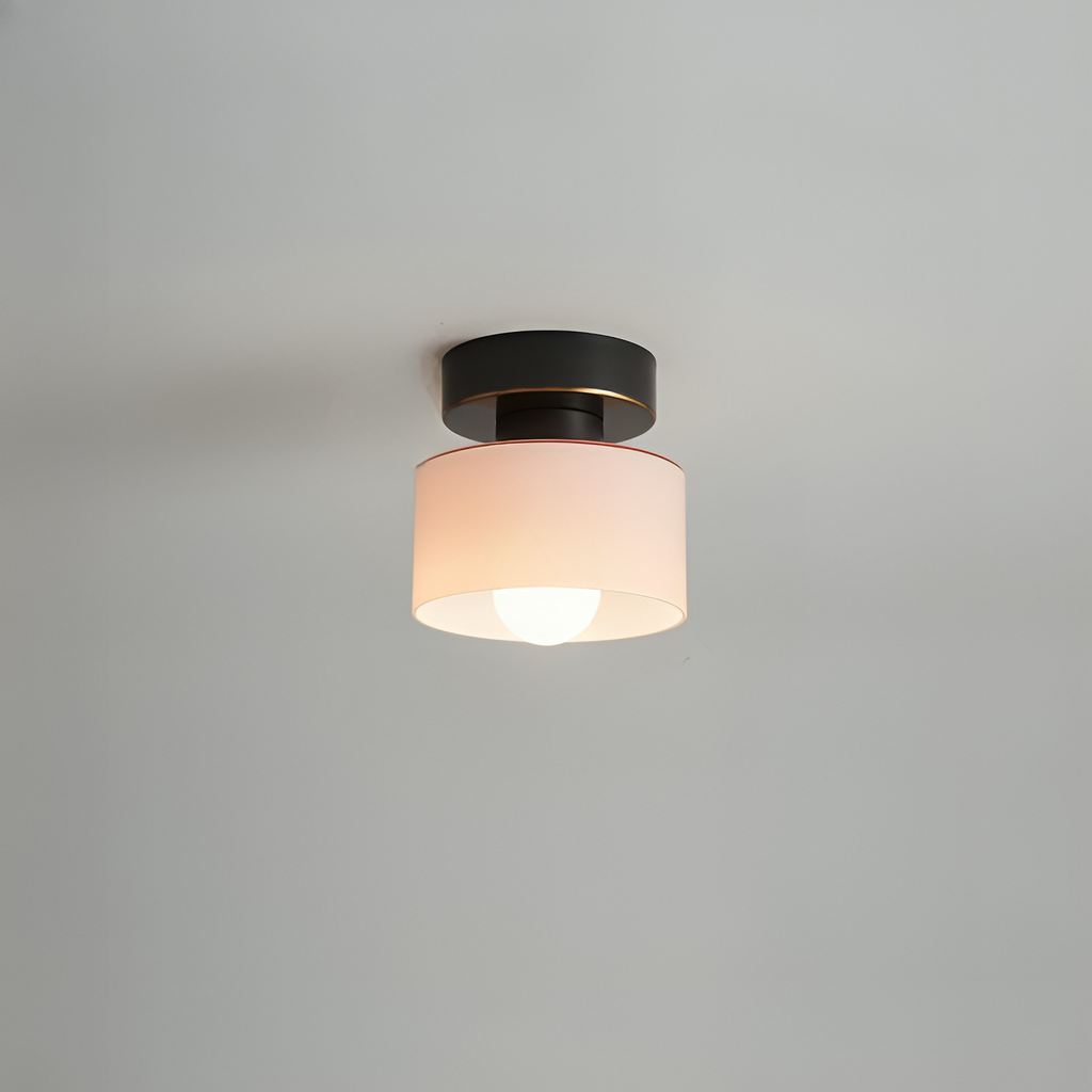 Lampa sufitowa nowoczesna minimalistyczna półplafonowa