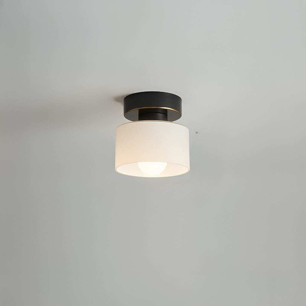 Lampa sufitowa nowoczesna minimalistyczna półplafonowa