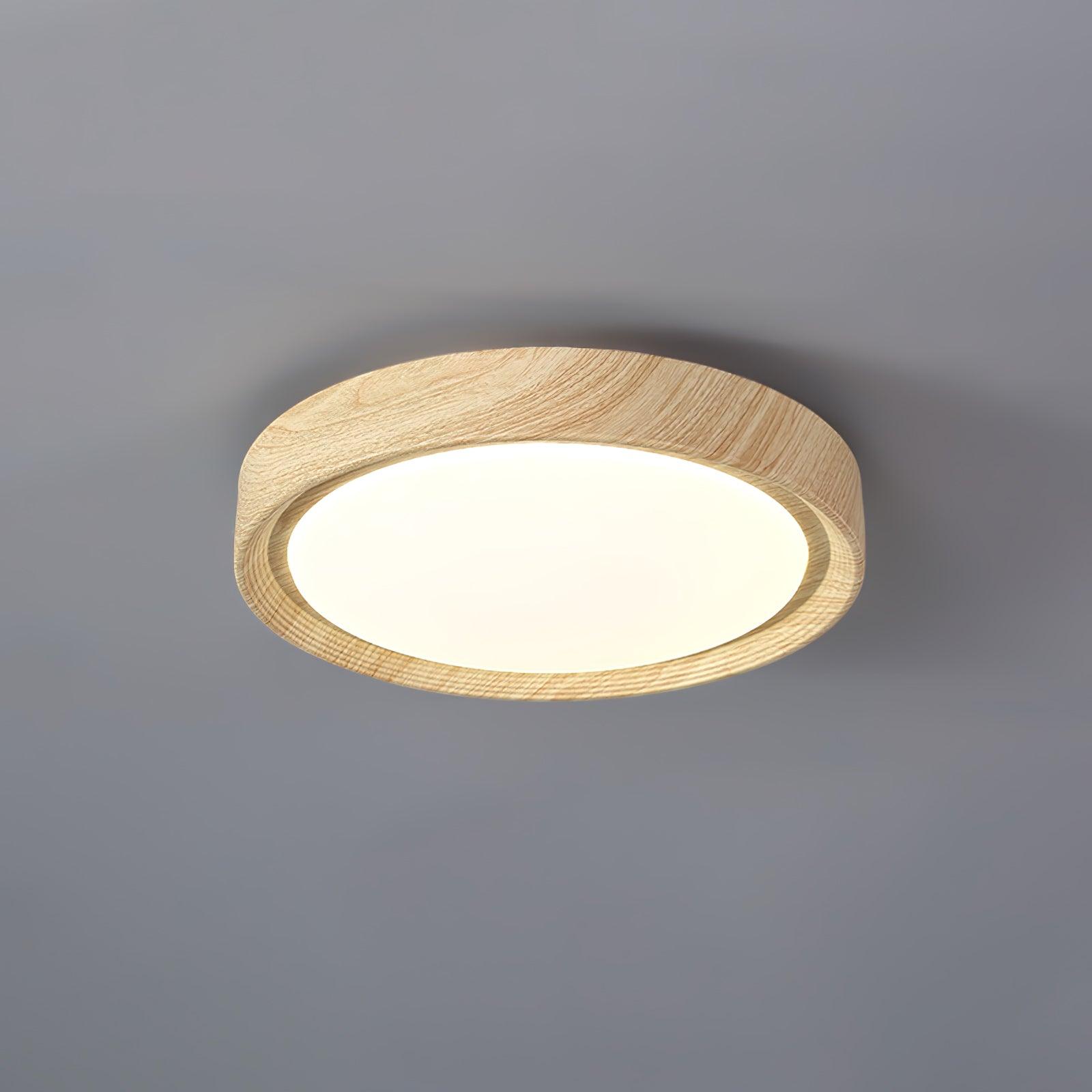 Round dimmable LED ceiling lamp Nordic style
