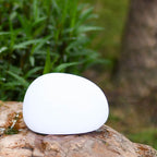 Solar LED Decorative Garden Ball Light